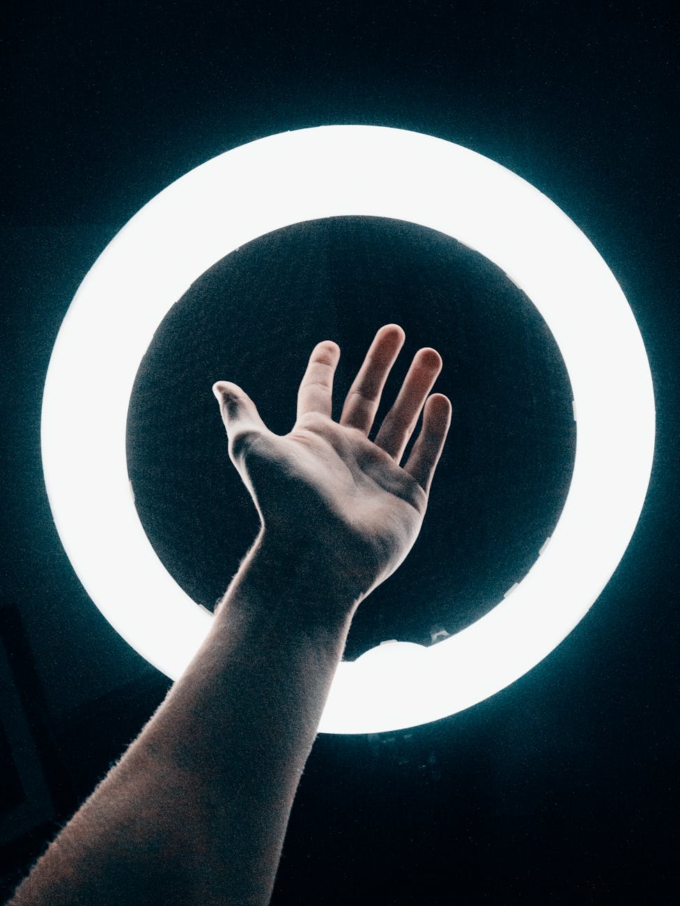 Please Mute Yourself: A Comprehensive Guide to Mastering Virtual Meeting Etiquette