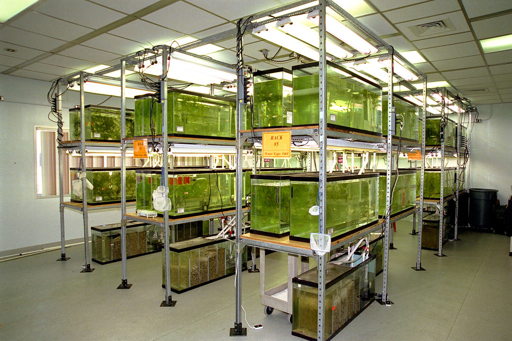 The First Tank Is Never Just a Tank