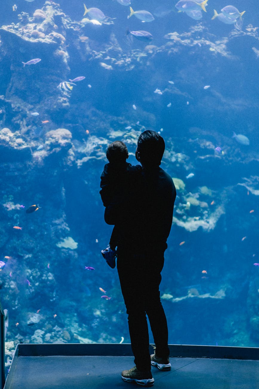 father with child visiting aquarium